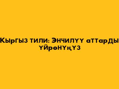 Кыргыз тили: Энчилүү аттарды үйрөнүңүз
