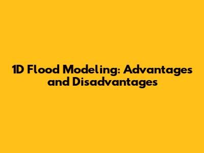 1D Flood Modeling: Advantages and Disadvantages