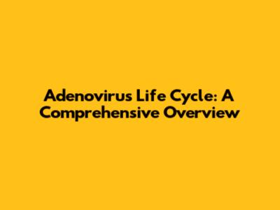 Adenovirus Life Cycle: A Comprehensive Overview