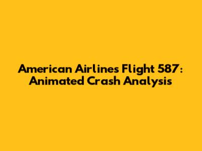 American Airlines Flight 587: Animated Crash Analysis