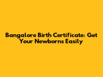 Bangalore Birth Certificate: Get Your Newborn's Easily