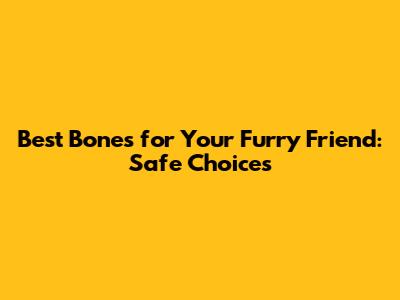 Best Bones for Your Furry Friend: Safe Choices