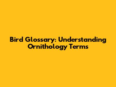 Bird Glossary: Understanding Ornithology Terms