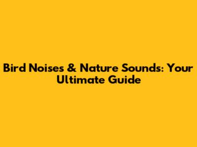 Bird Noises & Nature Sounds: Your Ultimate Guide