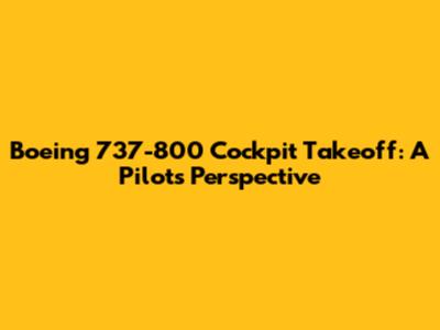 Boeing 737-800 Cockpit Takeoff: A Pilot's Perspective