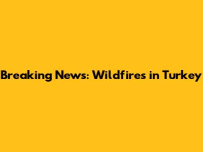 Breaking News: Wildfires in Turkey