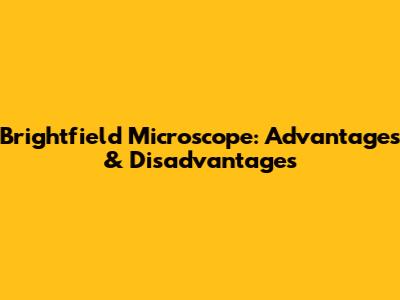 Brightfield Microscope: Advantages & Disadvantages