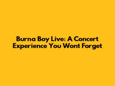 Burna Boy Live: A Concert Experience You Won't Forget