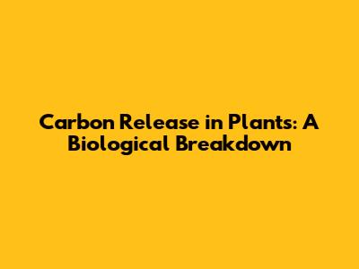 Carbon Release in Plants: A Biological Breakdown