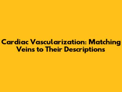 Cardiac Vascularization: Matching Veins to Their Descriptions