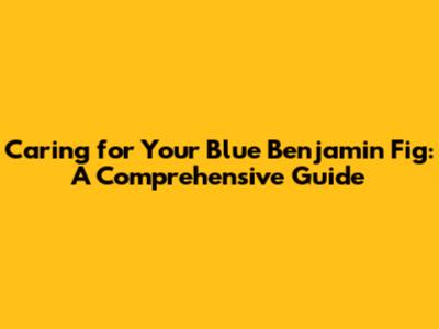 Caring for Your Blue Benjamin Fig: A Comprehensive Guide
