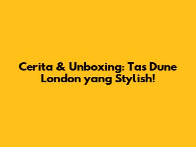 Cerita & Unboxing: Tas Dune London yang Stylish!