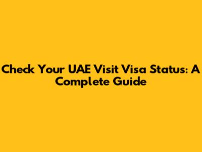 Check Your UAE Visit Visa Status: A Complete Guide