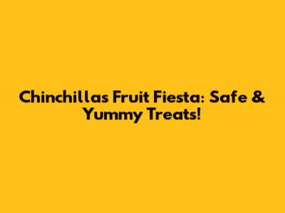Chinchilla's Fruit Fiesta: Safe & Yummy Treats!