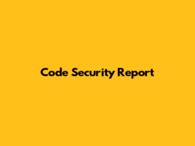 Code Security Report