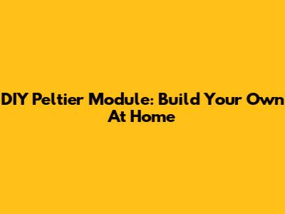DIY Peltier Module: Build Your Own At Home