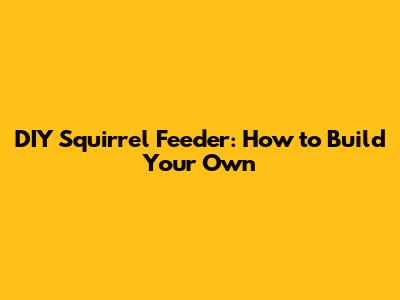 DIY Squirrel Feeder: How to Build Your Own