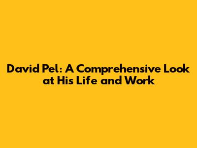 David Pel: A Comprehensive Look at His Life and Work