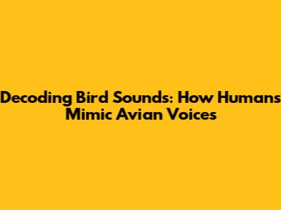 Decoding Bird Sounds: How Humans Mimic Avian Voices