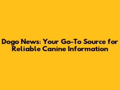 Dogo News: Your Go-To Source for Reliable Canine Information