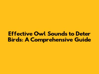 Effective Owl Sounds to Deter Birds: A Comprehensive Guide