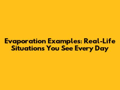 Evaporation Examples: Real-Life Situations You See Every Day