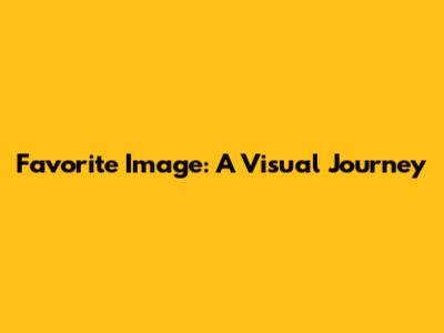 Favorite Image: A Visual Journey