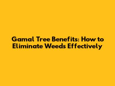 Gamal Tree Benefits: How to Eliminate Weeds Effectively