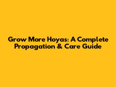 Grow More Hoyas: A Complete Propagation & Care Guide