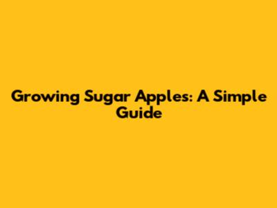 Growing Sugar Apples: A Simple Guide