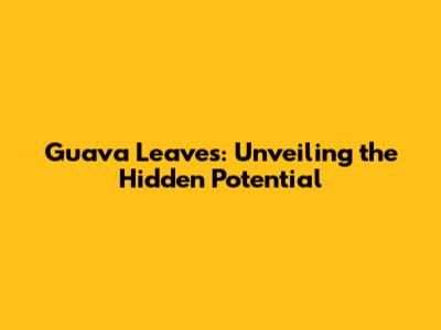 Guava Leaves: Unveiling the Hidden Potential
