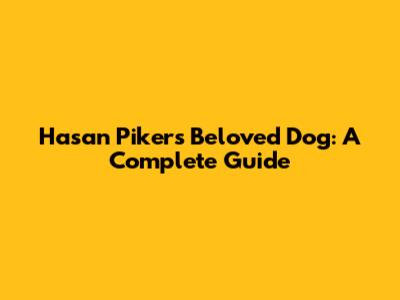 Hasan Piker's Beloved Dog: A Complete Guide