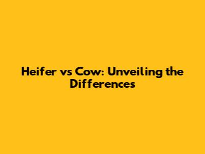 Heifer vs Cow: Unveiling the Differences