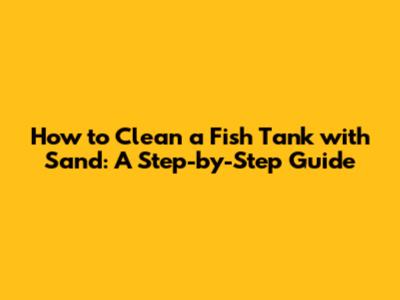 How to Clean a Fish Tank with Sand: A Step-by-Step Guide