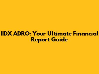 IIDX ADRO: Your Ultimate Financial Report Guide