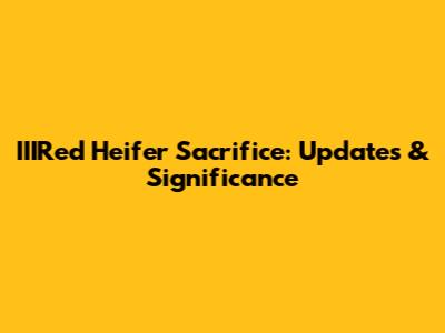 IIIRed Heifer Sacrifice: Updates & Significance