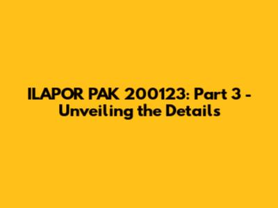 ILAPOR PAK 200123: Part 3 - Unveiling the Details