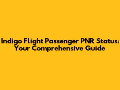 Indigo Flight Passenger PNR Status: Your Comprehensive Guide