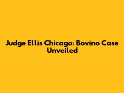 Judge Ellis Chicago: Bovino Case Unveiled