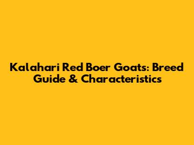 Kalahari Red Boer Goats: Breed Guide & Characteristics