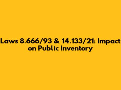 Laws 8.666/93 & 14.133/21: Impact on Public Inventory