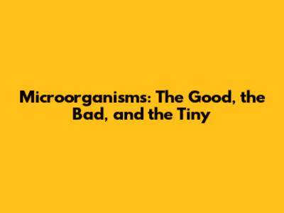 Microorganisms: The Good, the Bad, and the Tiny