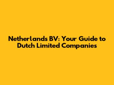 Netherlands BV: Your Guide to Dutch Limited Companies