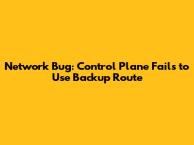 Network Bug: Control Plane Fails to Use Backup Route