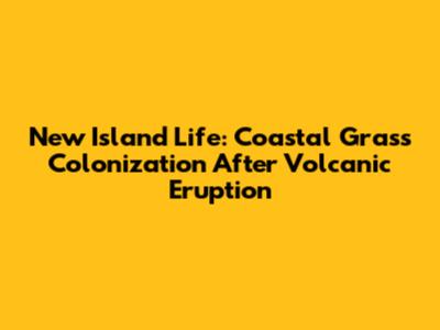 New Island Life: Coastal Grass Colonization After Volcanic Eruption