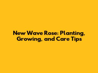 New Wave Rose: Planting, Growing, and Care Tips