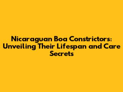 Nicaraguan Boa Constrictors: Unveiling Their Lifespan and Care Secrets