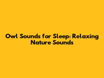 Owl Sounds for Sleep: Relaxing Nature Sounds