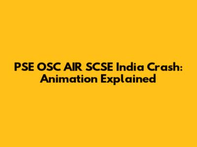 PSE OSC AIR SCSE India Crash: Animation Explained