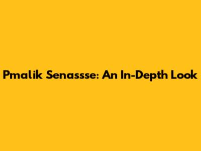 Pmalik Senassse: An In-Depth Look